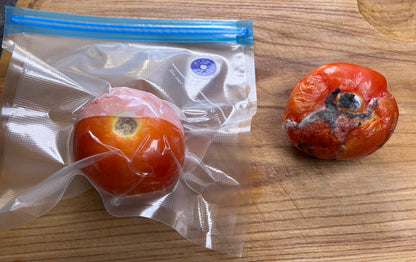 Scelleuse sous vide et sacs de conservation