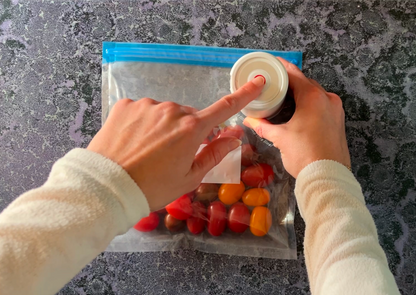 Scelleuse sous vide et sacs de conservation